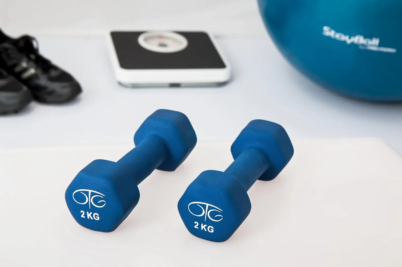physiotherapy, weight training, dumbbells, exercise balls, weight loss, workout, health, gym, therapist, physiotherapist, healthcare, fitness, wellness, rehabilitation, healing, therapeutic, weight loss, weight loss, workout, health, gym, gym, gym, gym, gym, fitness, fitness, fitness. What fitness studio software must record, and how to keep your data