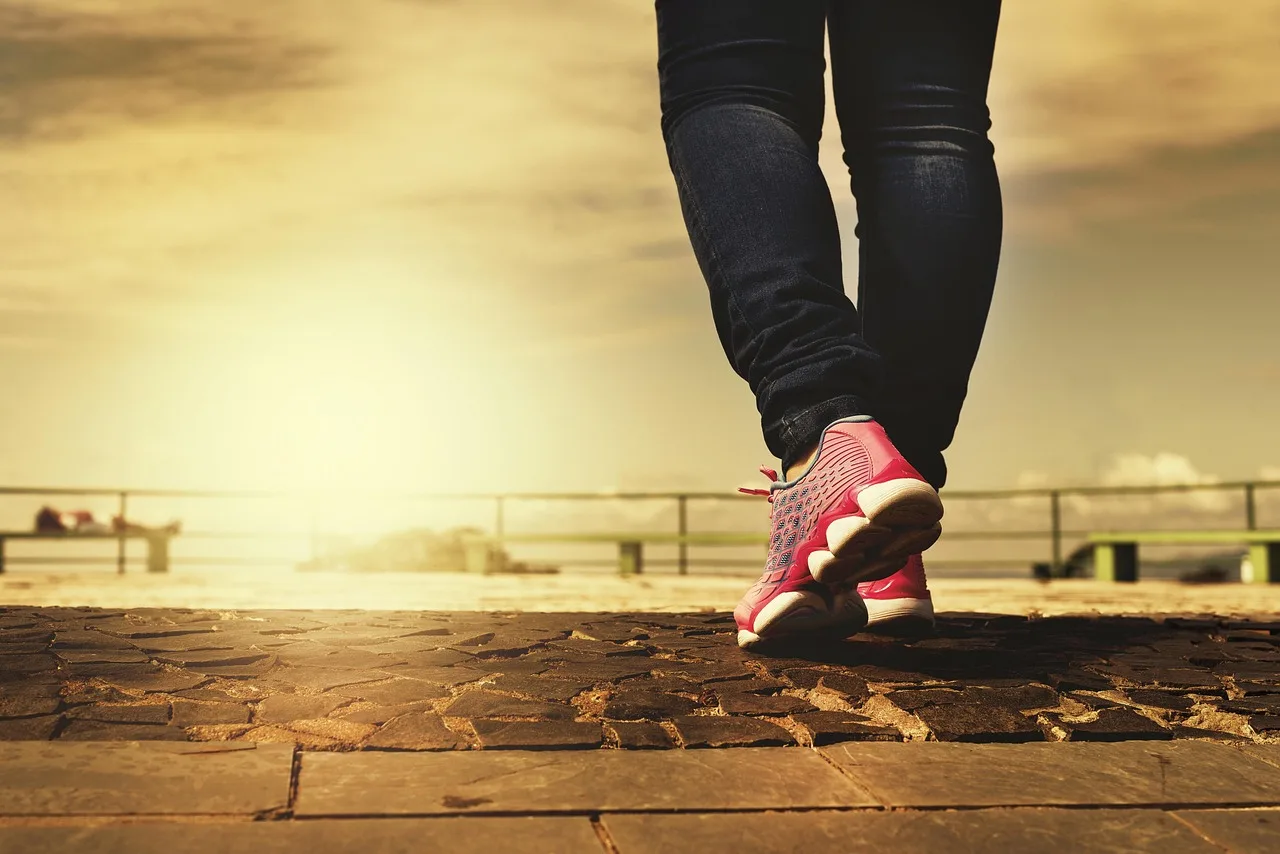 legs, shoes, walking, walk, path, trail, rubber shoes, feet, woman, young, exercise, physical, activity, walking, walking, walking, walking, walking, walk, walk, exercise. Fitness studio timetable review: four signals and fixes